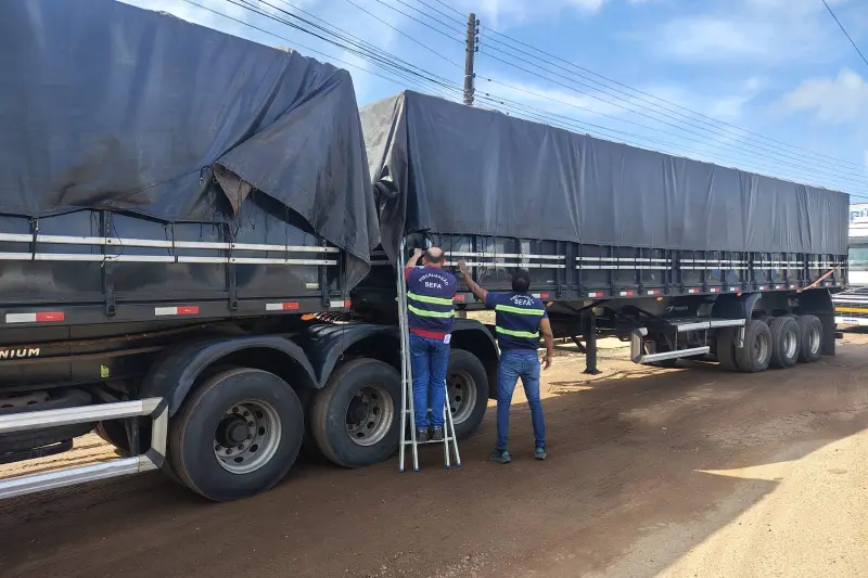 notícia: Sefa apreende soja, chope e milho em diferentes regiões do Estado