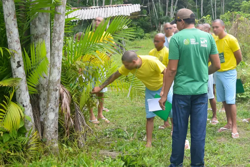 notícia: Curso de cultivo de açaí capacita internos da Seap e reforça compromisso do Estado com a bioeconomia