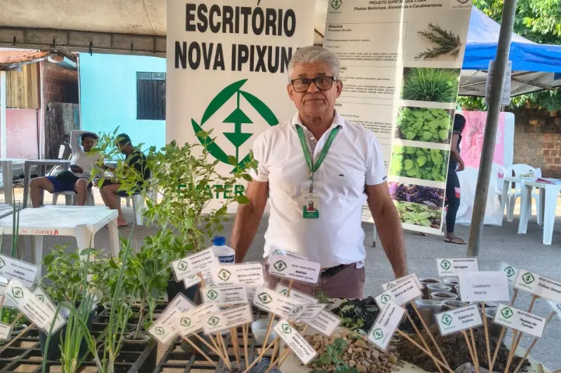 notícia: Emater orienta sobre plantas medicinais em Nova Ipixuna, no sudeste do Pará