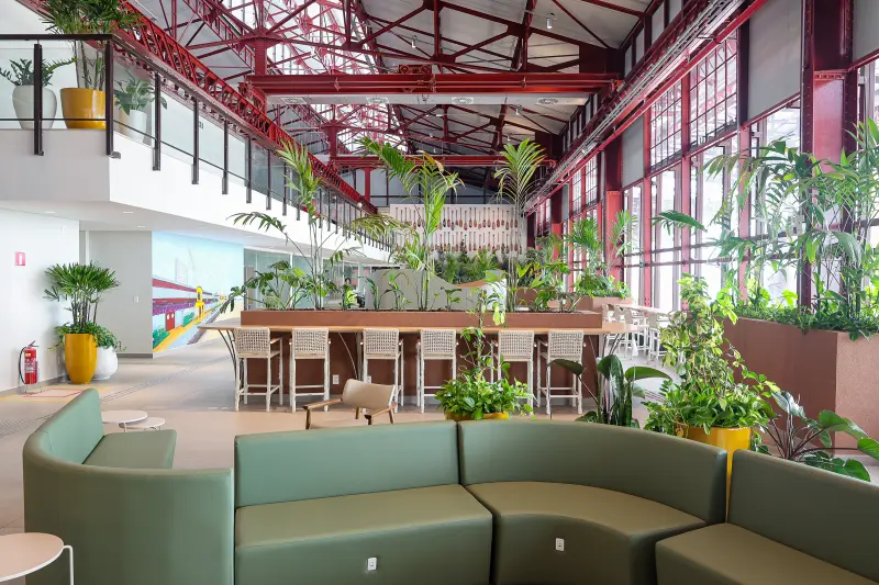 notícia: Parque de Bioeconomia impulsiona a transformação da floresta viva em fonte de renda e inovação