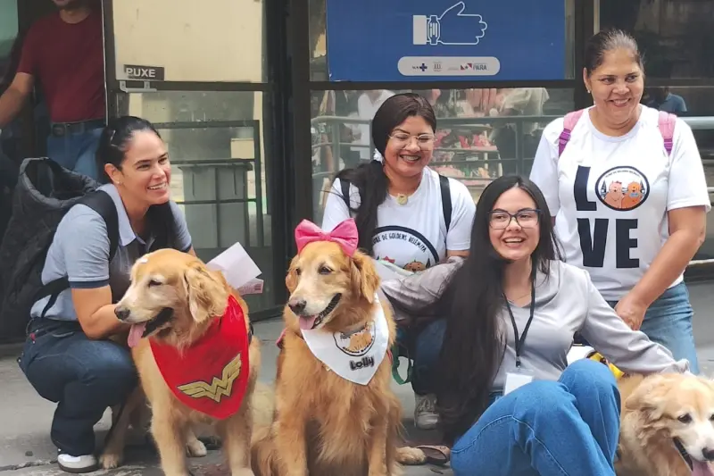 notícia: Crianças atendidas pela Santa Casa do Pará interagem com animais especiais do Clube de Goldens
