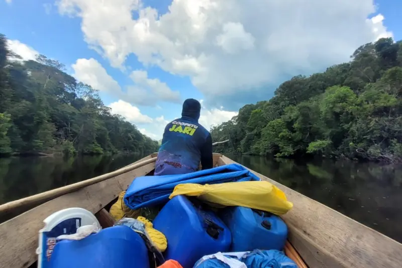 notícia: Parque Estadual das Árvores Gigantes da Amazônia avança para nova fase de implantação