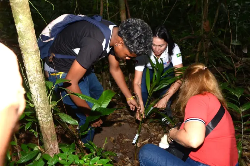 notícia: Estudantes plantam árvores nativas da Amazônia no Parque Estadual do Utinga