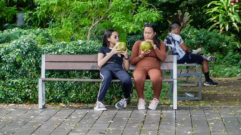 notícia: Parque Estadual do Utinga abrirá todos os dias deste mês de novembro na capital paraense