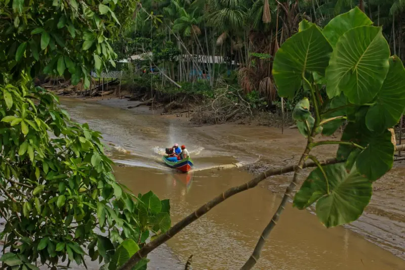notícia: Forest Zone: Ideflor-Bio promove debates sobre clima, bioeconomia e valorização da natureza durante a COP30