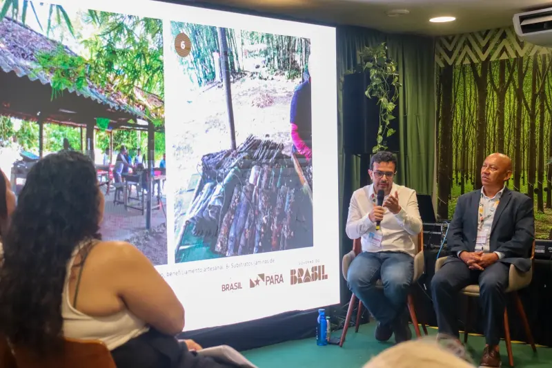 notícia: Mangue transforma a zona costeira paraense em modelo de sociobioeconomia