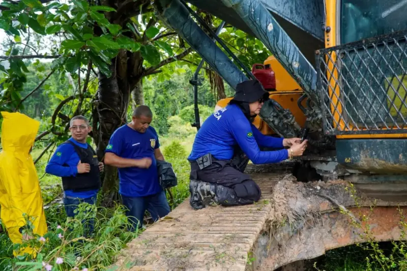 notícia: Perícias ambientais reforçam ações que garantem justiça climática