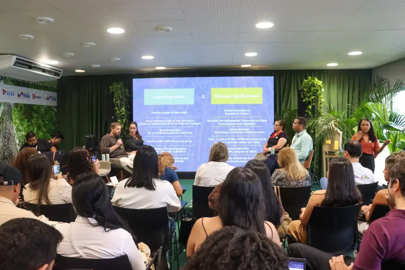 notícia: Restauração produtiva avança na Amazônia e vira chance real de renda e inclusão para agricultores familiares