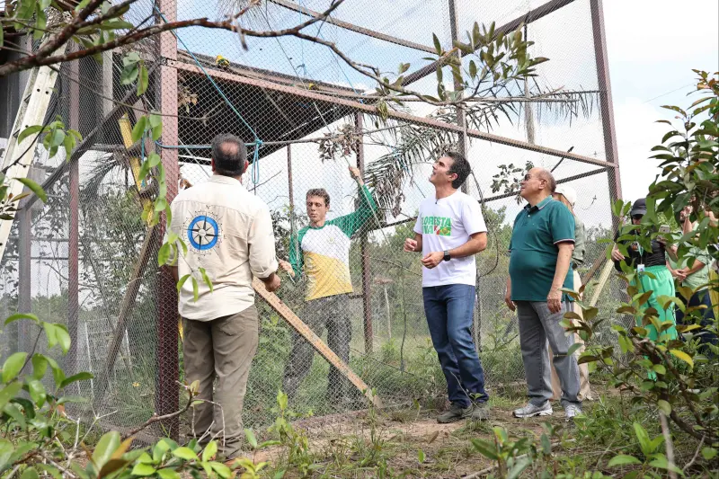 notícia: Ararajubas retomam os céus de Belém: soltura de 15 aves marca capítulo histórico na COP30