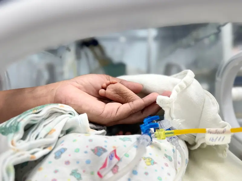 notícia: Hospital de Clínicas Gaspar Vianna alerta sobre prematuridade e importância do pré-natal cardiológico